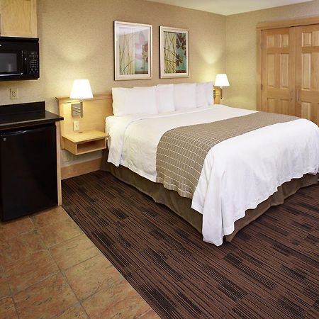 Livinn Hotel Minneapolis North / Fridley Экстерьер фото